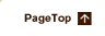 PageTop